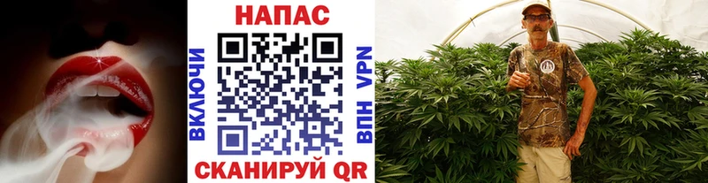Наркотические вещества Петушки COCAIN  Каннабис  Мефедрон  A PVP  Гашиш 