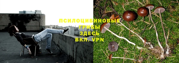 MESCALINE Мегион