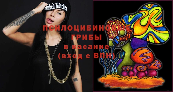 стаф Медвежьегорск