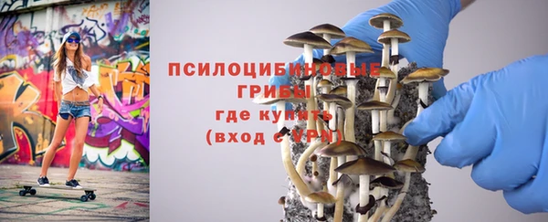 стаф Медвежьегорск