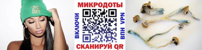 продажа наркотиков Петушки Галлюциногенные грибы GOLDEN TEACHER
